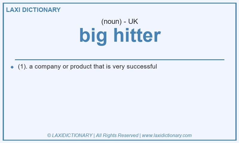 Definition big hitter in British English