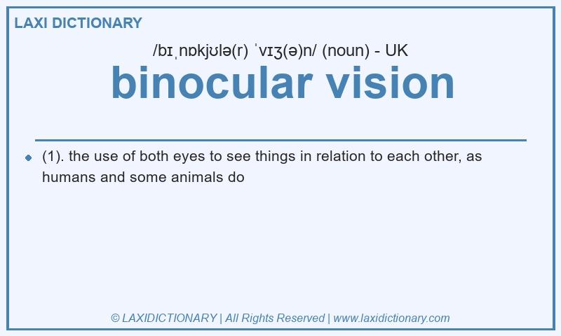 Definition binocular vision in British English
