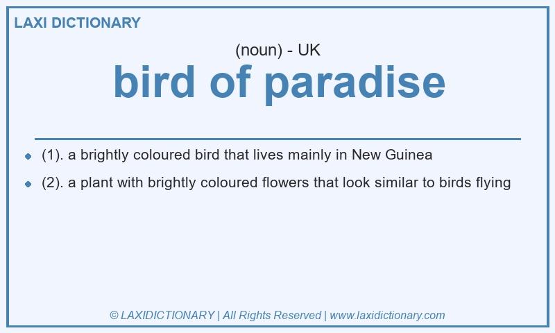Definition bird of paradise in British English