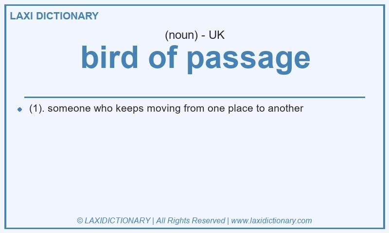 Definition bird of passage in British English