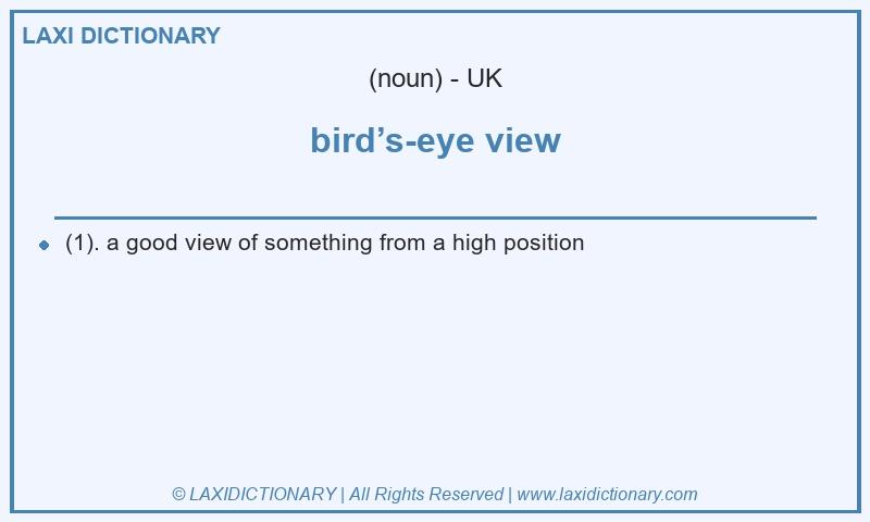 Definition bird’s-eye view in British English