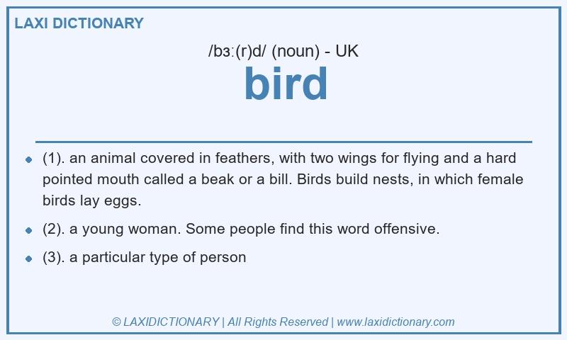 Definition bird in British English