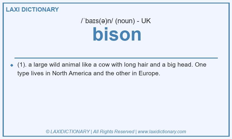 Definition bison in British English