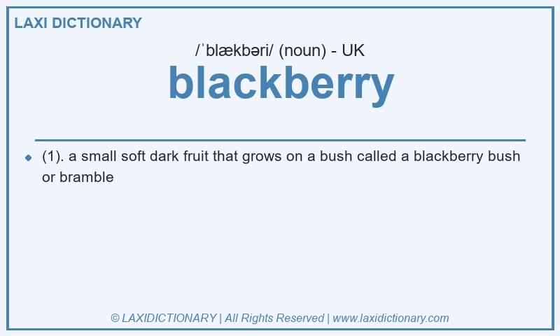 Definition blackberry in British English