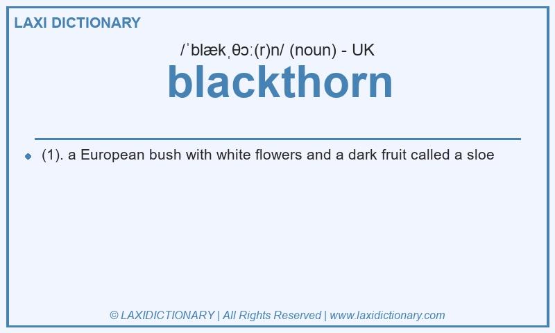 Definition blackthorn in British English