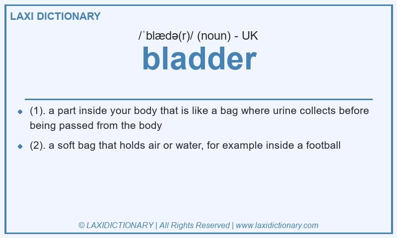 Definition bladder in British English