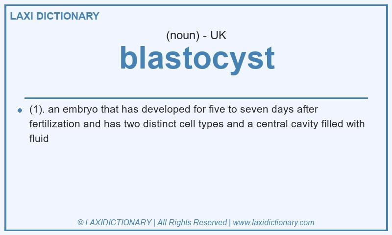 Definition blastocyst in British English
