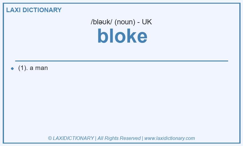 Definition bloke in British English