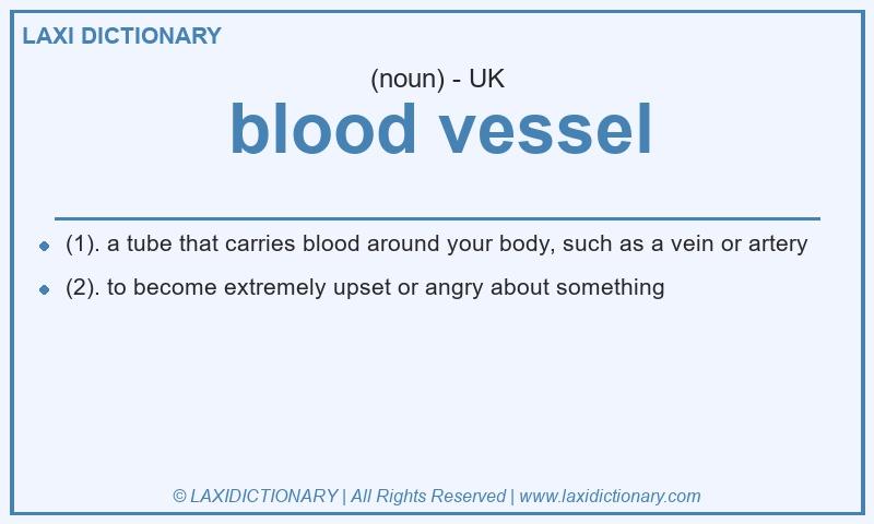 Definition blood vessel in British English