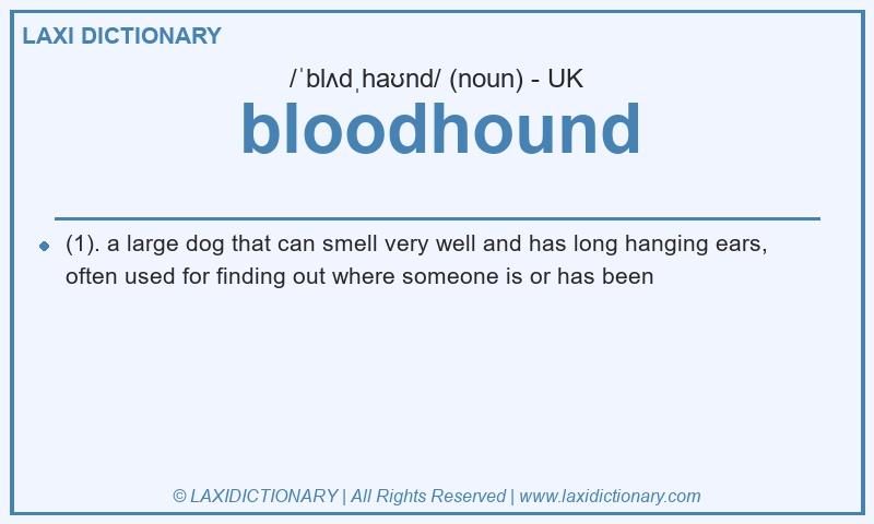 Definition bloodhound in British English