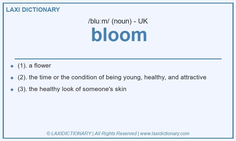 Definition bloom in British English