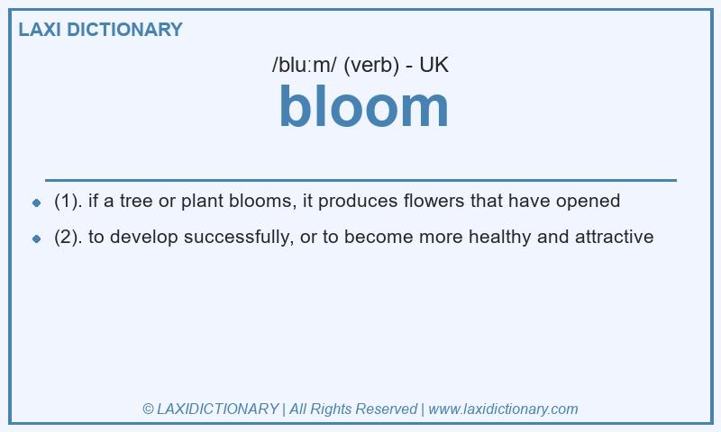 Definition bloom in British English