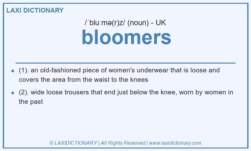 Definition bloomers in British English