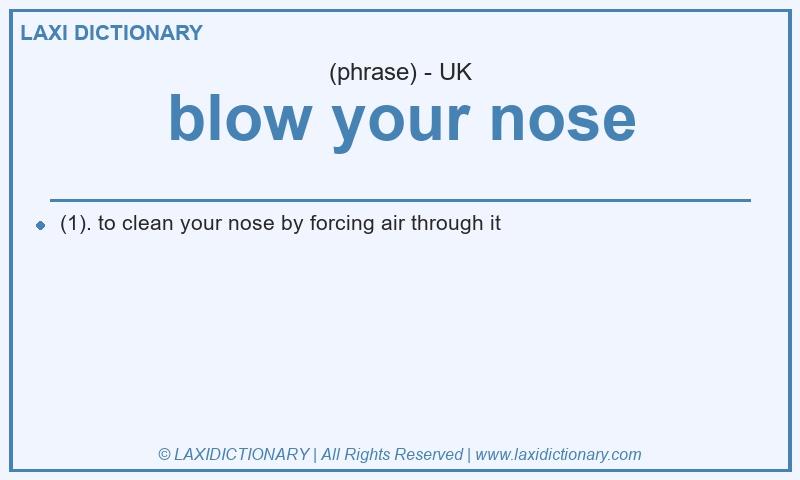 Definition blow your nose in British English