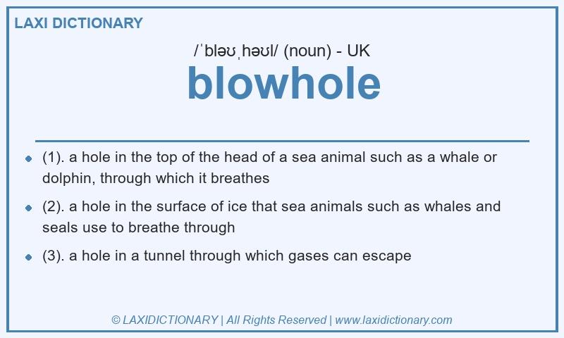 Definition blowhole in British English