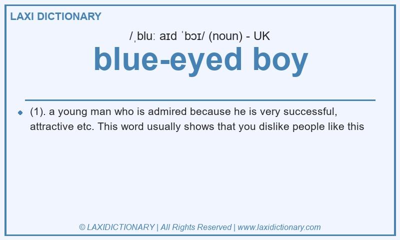 Definition blue-eyed boy in British English