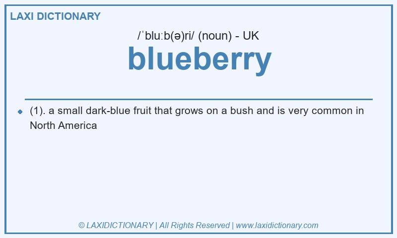 Definition blueberry in British English