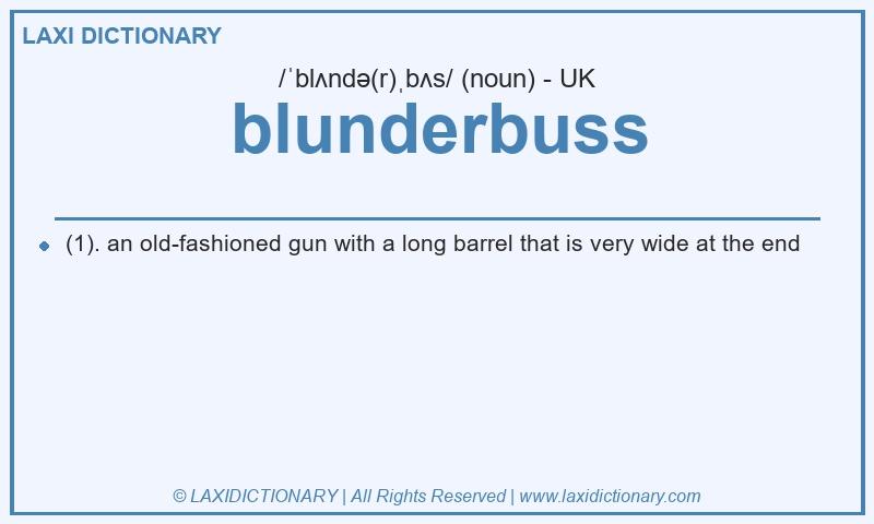 Definition blunderbuss in British English