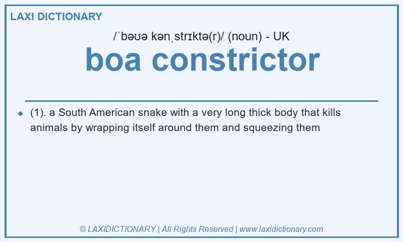 Definition boa constrictor in British English