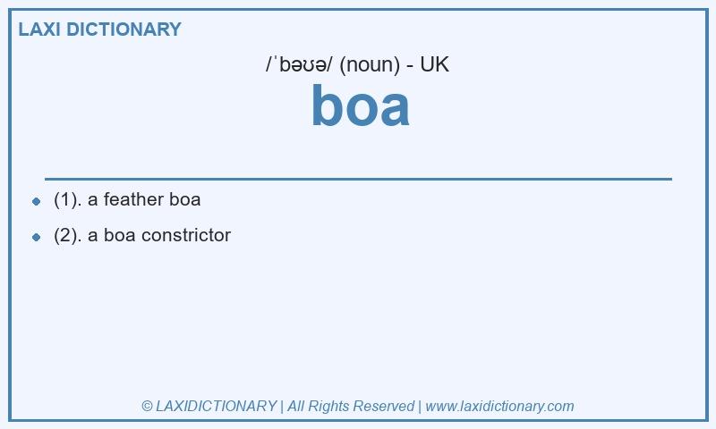 Definition boa in British English