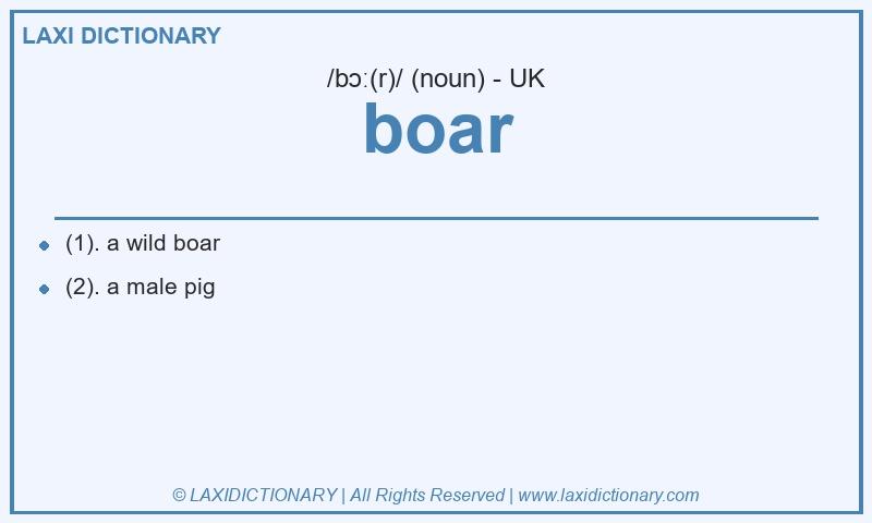Definition boar in British English