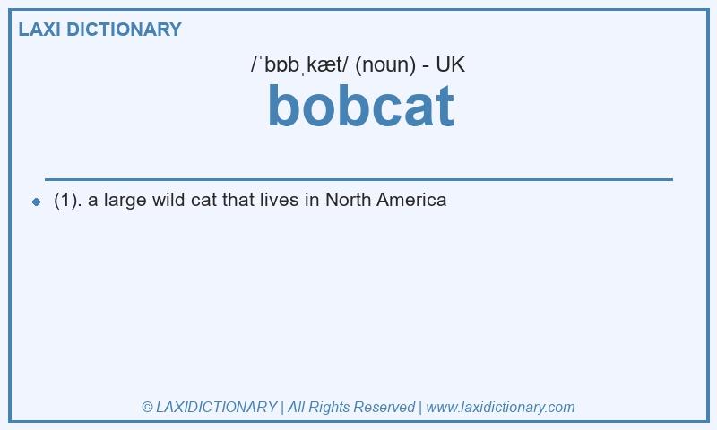 Definition bobcat in British English