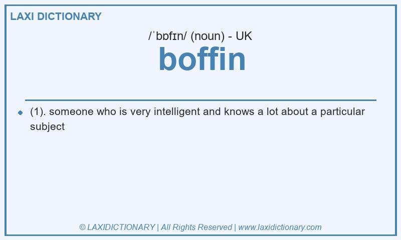 Definition boffin in British English