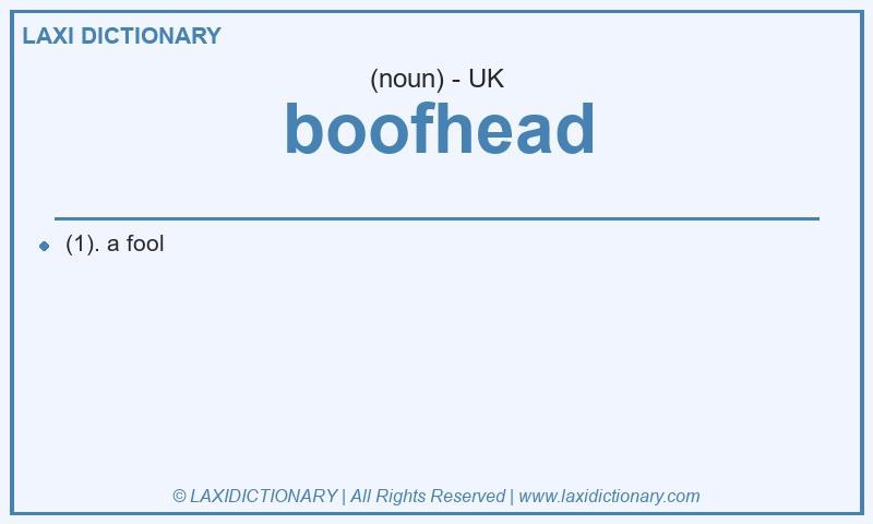 Definition boofhead in British English