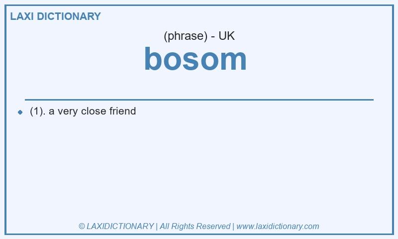 Definition bosom  in British English