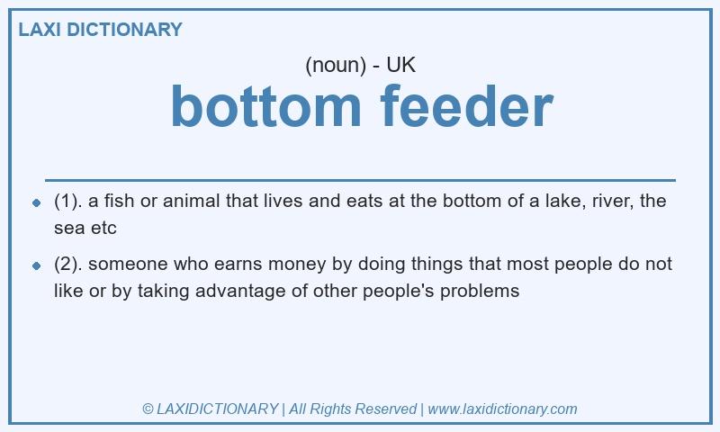 Definition bottom feeder in British English