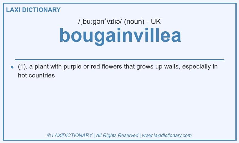 Definition bougainvillea in British English