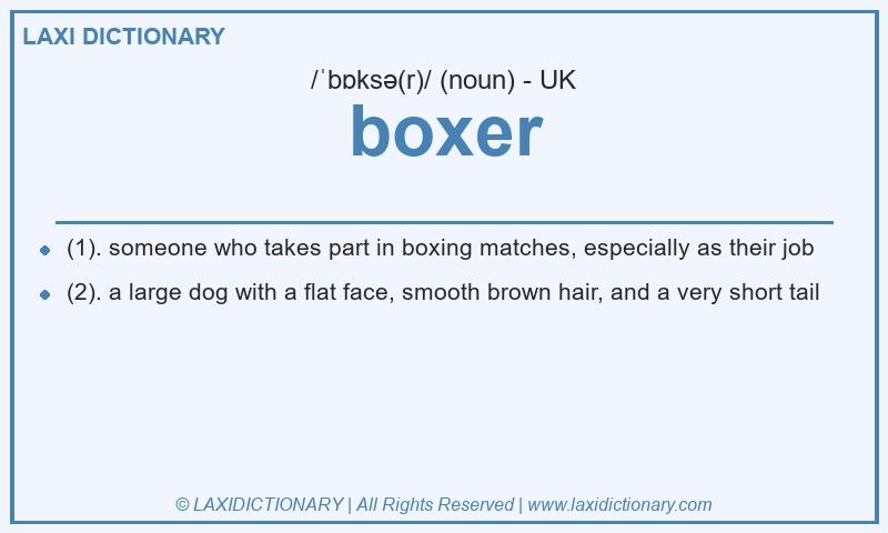 Definition boxer in British English