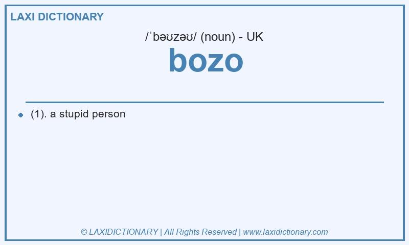 Definition bozo in British English