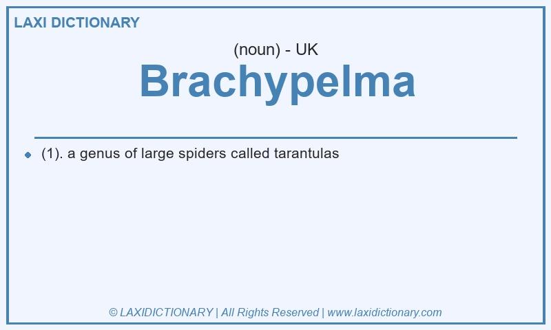 Definition Brachypelma in British English