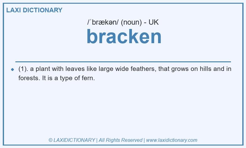 Definition bracken in British English