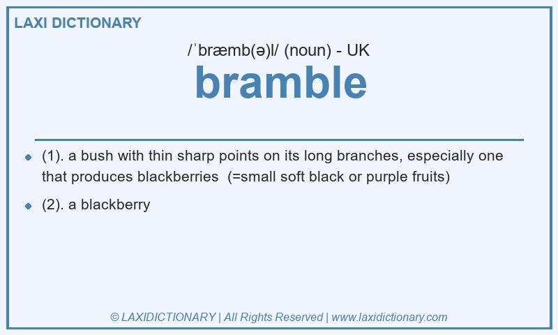 Definition bramble in British English