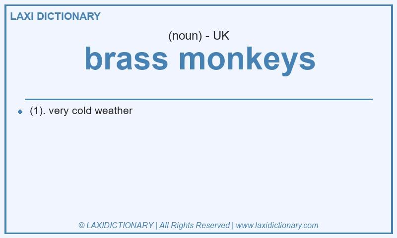 Definition brass monkeys in British English