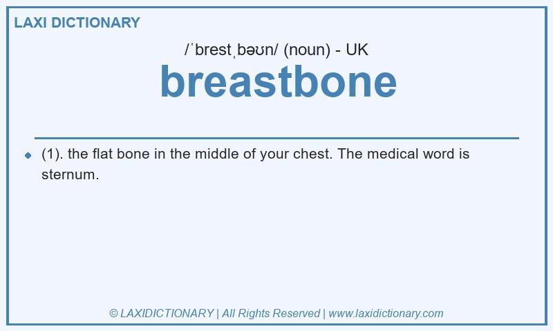 Definition breastbone in British English