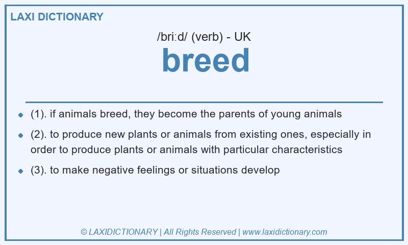 Definition breed in British English