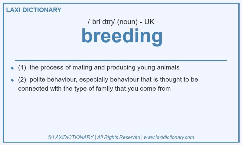 Definition breeding in British English