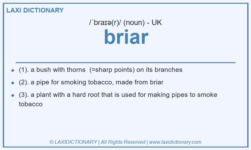 Definition briar in British English