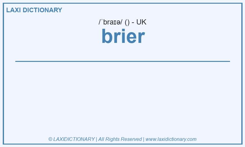 Definition brier in British English