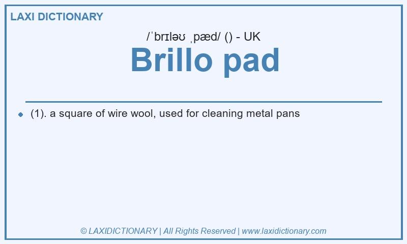 Definition Brillo pad in British English