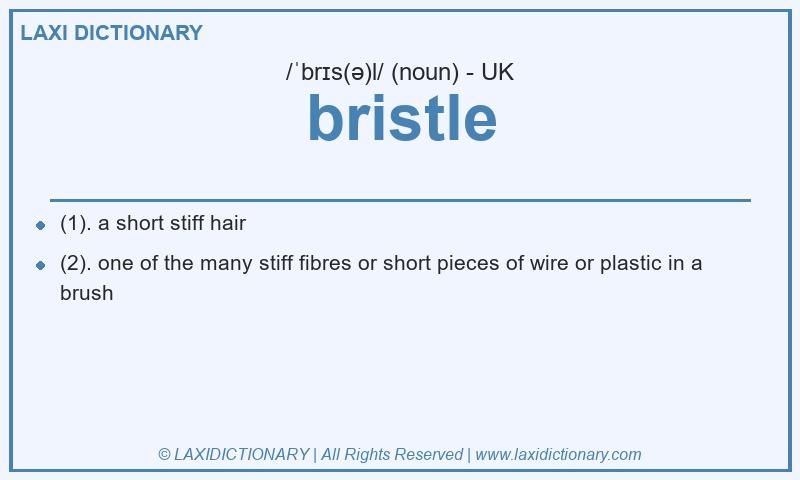 Definition bristle in British English