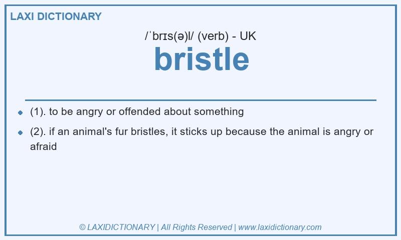 Definition bristle in British English