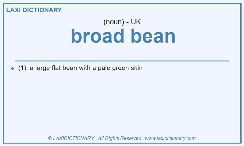 Definition broad bean in British English