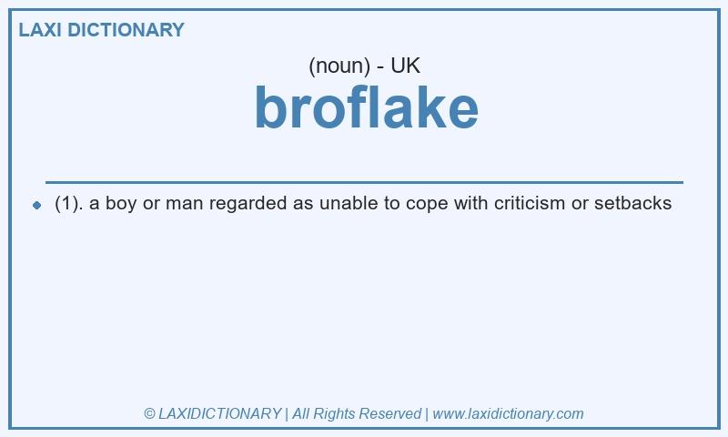 Definition broflake in British English