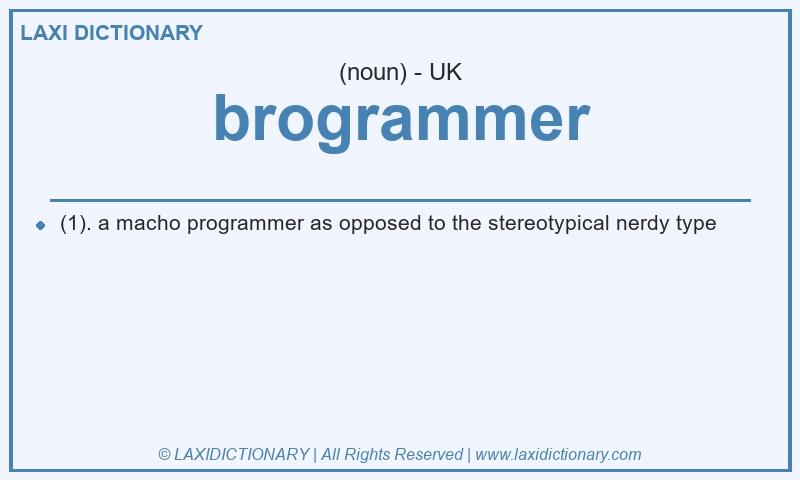 Definition brogrammer in British English