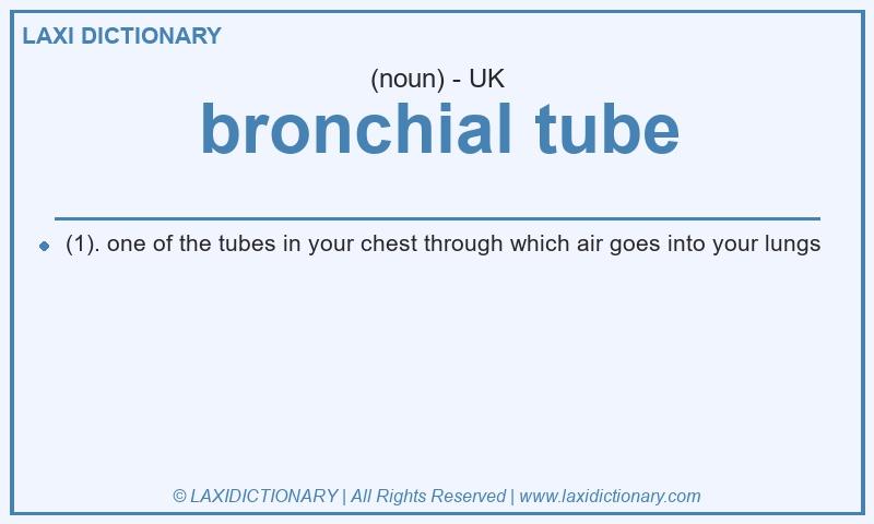 Definition bronchial tube in British English