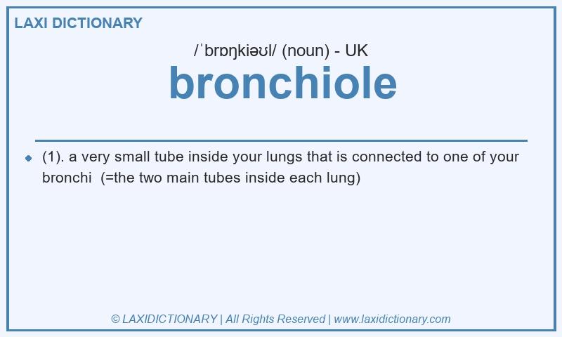 Definition bronchiole in British English